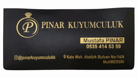 döviz kabı döviz kılıf özel baskılı firmaya özel